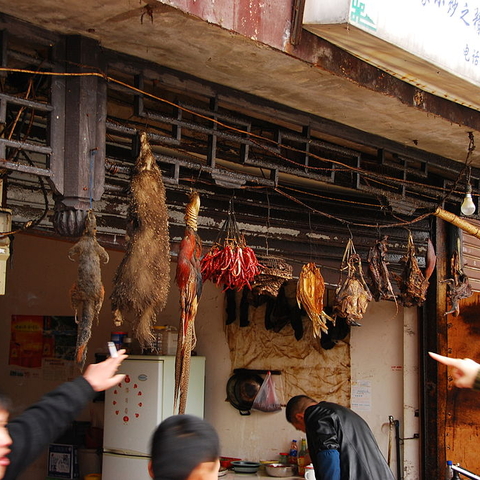 A wild game stall at a Chinese market.